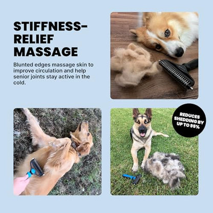 MalsiPree Dog Brush - Large, Orange - 2-in-1 Deshedding Tool & Undercoat Rake, Dog Undercoat Brush - Gentle Dematting Comb & Pet Hair Removal Tool - Smooth-Edge Design & Grooming Comb - color: Orange