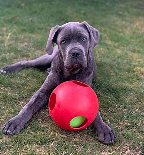 Jolly Pets Teaser Ball Dog Toy, Large/8 Inches, Red - color: Red, size: Large (8 in)