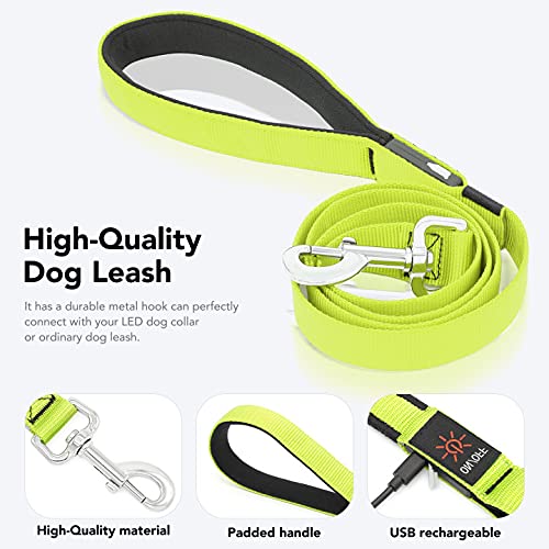 Colaseeme LED Light Up Dog Leash, USB Rechargeable (4FT,Green) | Glow in dark, reflective, USB-C rechargeable, bright LED for night safety, fits small to large dogs - color: Green, size: 4FT