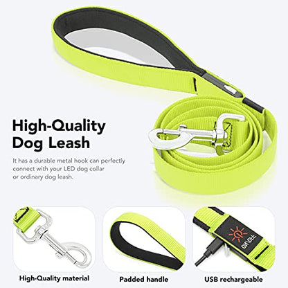 Colaseeme LED Light Up Dog Leash, USB Rechargeable (4FT,Green) | Glow in dark, reflective, USB-C rechargeable, bright LED for night safety, fits small to large dogs - color: Green, size: 4FT