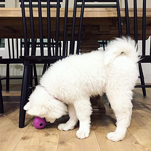 Chew King Fetch Balls Extremely Durable Natural Rubber Toy 4 inch, 2 Pack (CM-10031-CS01) - color: 2-Pack (4" Balls)