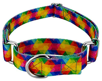 Country Brook Petz - Kaleidoscope Martingale Dog Collar - Groovy Collection Featuring Far Out Designs (1/2 Inch, 2XS) - color: Kaleidoscope, size: 2XS (Pack of 1)