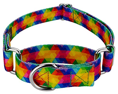 Country Brook Petz - Kaleidoscope Martingale Dog Collar - Groovy Collection Featuring Far Out Designs (1/2 Inch, Extra Small) - color: Kaleidoscope, size: Extra Small (Pack of 1)
