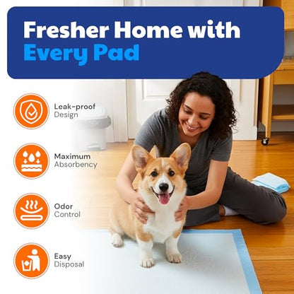 American Kennel Club Scented Puppy Training Pads with Ultra Absorbent Quick Dry Gel – 28 x 30 Pee Pads for Dogs - Fresh Scented - 50 Count, XL - size: 28 x 30 - 50 Count