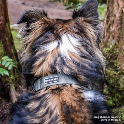 Wilderdog Waterproof Dog Collar – Repels Water & Dirt – Small 11"-15" – Olive - color: Olive, size: Small