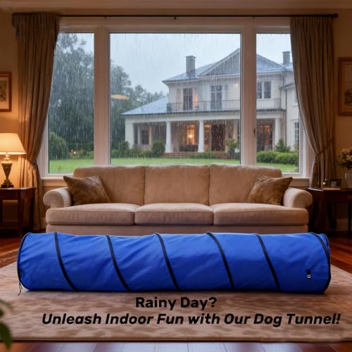Dog Agility Tunnel with Carry Bag and Ground Spikes, Foldable 10-Foot Tunnel for Dog Training, Dog Agility Equipment for Outdoor, Backyard, Indoor Use, KINETOVOLTA