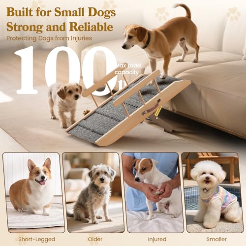 Small Dog Ramp for Bed Couch, Pet Ramp for Small Old Dogs Cats with 5 Adjustable Heights from 7.09" to 12.60", Portable Non-Slip Dog Ramp for High Bed, Couch, Hold up to 100 LBS - size: 31.50 Inch