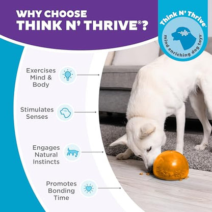 Outward Hound by Planet Dog Snoop Dog Toy – Treat‑Dispenser Puzzle Ball, Interactive Slow Feeder, Medium to Large Dogs, Bouncy & Mint-Infused, Orange, 5" - color: Orange