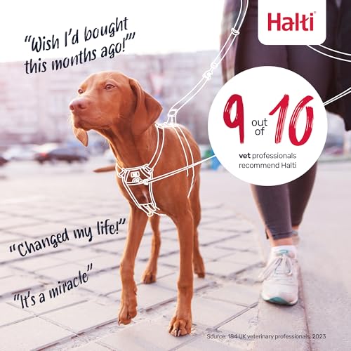 Halti No Pull Harness & Halti Training Leash Size Large, Black Combination Pack - Stop Your Dog Pulling on The Leash. Adjustable, Lightweight and Easy to Use. Suitable for Large Dogs - size: Large