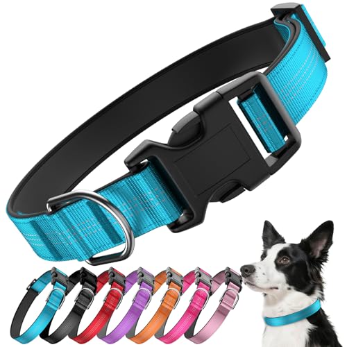 Reflective Dog Collar with Buckle, Heavy Duty Dog Collars with Soft Padded, Adjustable, Ultra-Durable, Pet Collar for Small Medium and Large Dogs (SkyBlue, L) - color: BLUE, size: L (18-26'')