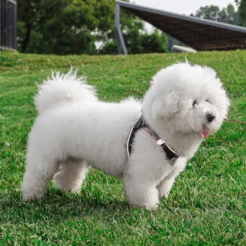 Hipubby Dog Harness Small Sized and Leash Set, No Pull Soft Mesh Puppy Vest, Reflective Breathable Lightweight Pet Harness, Harness for Small Medium Dogs and Cats - Black/Khaki Trim, S - color: Black/Khaki Trim, size: S (Chest: 14.5"-16")