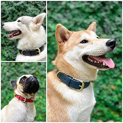 Tuff Pupper Classic Heavy Duty Dog Collar | 10x Stronger Than Leather | 100% Waterproof & Odor Proof Dog Collar | Tough Rust-Proof All Metal Hardware - color: Midnight Blue