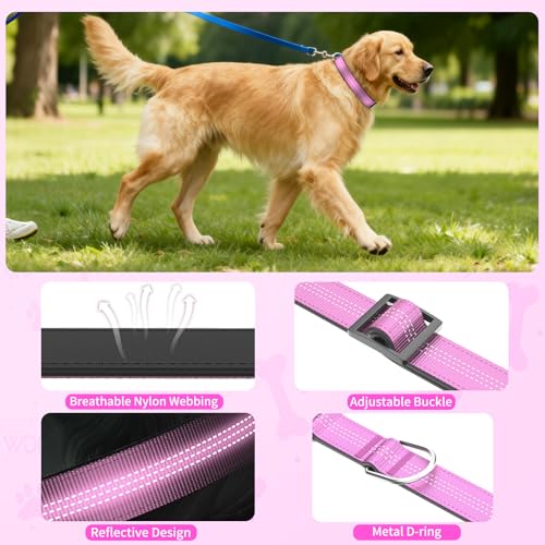 Reflective Dog Collar with Buckle, Heavy Duty Dog Collars with Soft Padded, Adjustable, Ultra-Durable, Pet Collar for Small Medium and Large Dogs (Pink, S) - color: Pink, size: S (12-18'')