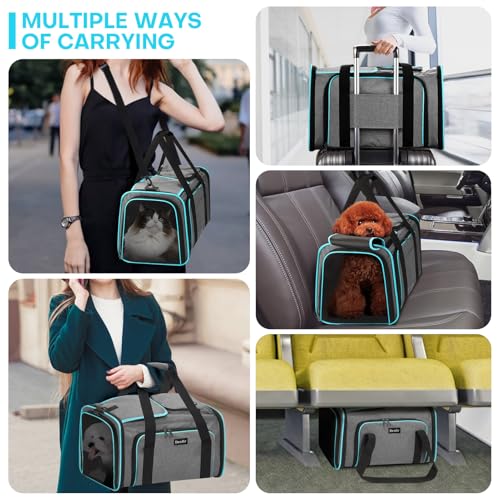 Pet Carrier, Large Soft Sided Expandable Travel Carrier with Steel Frame, Anti-Scratch Mesh, Removable Fleece Pad and Pockets for Cats, Dogs and Small Animals up to 15 lbs (Gray, 4 Sides Expandable) - color: Gray