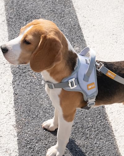 DF No Pull Step-in Martingale Dog Harness, Help Stop Pulling & Choking, Reflective & Adjustable, Front Clip Harness with Lift Handle, Tactical Silent Metal Buckle, Gray, 1", Front Chest 14.4"-18.0"