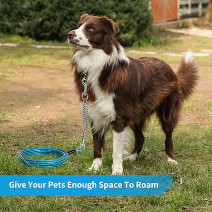 Dog Tie Out Cable, 30 FT Heavy Duty Dogs Lead Cable with Detachable Shock Spring, Dog Runner Chains for Outside Yard Camping Hold Small or Medium Dogs (30feet, up to 160lbs)