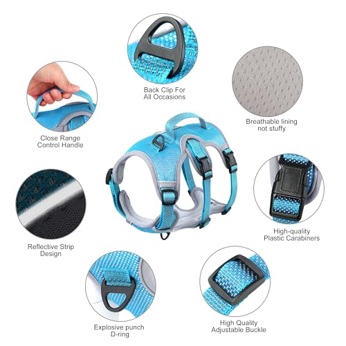 Beirui Escape Proof Dog Harness, No Pull Dog Harness,Reflective Dog Harness with Handle, Breathable,Durable, Adjustable Vest for Medium Dogs Outdoor Walking(Blue,Chest 19-25")