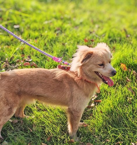 2/3/4/6/10 Foot Reflective Dog Leash Strong Nylon Rope Braided Heavy Duty for Large Medium Small Dogs Walking Training Leads (Pink, 3ft * 1/2") - color: Pink, size: 3ft * 1/2"