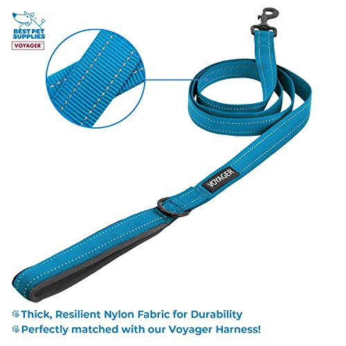 Voyager Step-in Air All Weather Mesh Harness and Reflective Dog 5 ft Leash Combo with Neoprene Handle, for Small, Medium and Large Breed Puppies by Best Pet Supplies - Blue, XX-Small - color: Leash Harness Set (Blue), size: XXS (Chest: 11.5 - 13" * Fit Ca