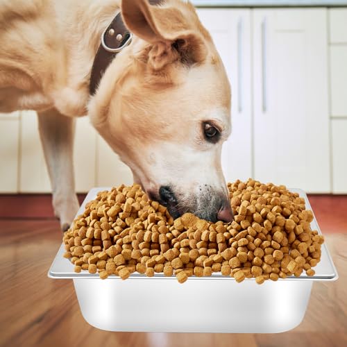 Dog Bowl Stainless Steel Water and Feed Dish with Non-Slip Pads (1.85Gal-2 Sets) - size: 1.85Gal-2 Sets
