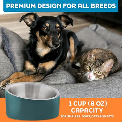Master Pet Supply Stainless Steel Slanted Dog Cat Food Bowl - 8 oz Heavy Duty - Emerald Sea, Double Wall Insulated, Non-Slip Elevated Bowl for French Bulldogs Pugs Cats, Anti Rust Dishwasher Safe - color: Emerald Sea, size: 1 Cup (8 oz)