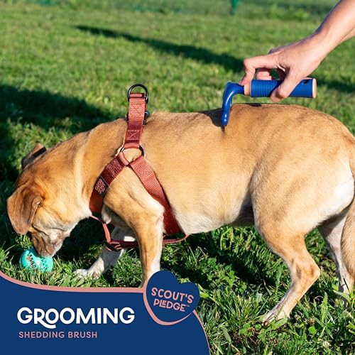 Good Scout Stainless Steel Pet Hair Rake, Best Deshedding Tools for Dogs & Cats, Gentle, Safe & Effective Grooming Tool for Long & Short Haired Animals - style: Deshedding Brush