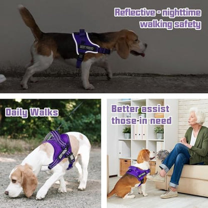 AUROTH Dog Harness and Leash Set, Soft Padded Service Dog Vest with 5.25FT Dog Leash, No Choke, Easy On Pet Vest, Adjustable Reflective No Pull Dog Harness for Large Dogs, Easy Walking and Training - color: Purple, size: Large