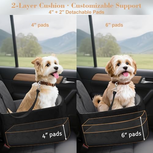 Dog Car Seat for Small/Medium Dogs,Pet Dog Booster Car Seat Puppy 15-35 lbs with Soft 4+2in Detachable Pads Detachable Elevated Cushion and Washable Cover Safety Belt Storage Pockets Easy to Install - color: grey+black