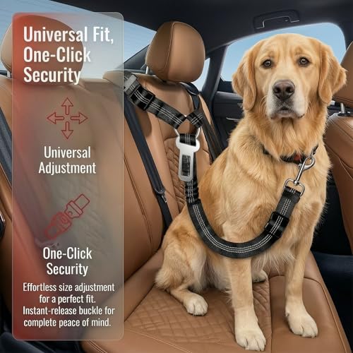 2-Pack Reflective Retractable Pet Seat Belt – Nylon Dog Tether, Adjustable Strap, Attaches to Headrest or Seat Belt – Safe for Small to Large Dogs, Fits Sedans, Trucks, SUVs (Black + Sky Blue) - color: Black + Sky Blue