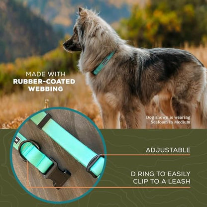 Wilderdog Waterproof Dog Collar - Repels Water & Dirt - Large 17"-24" - Seafoam - color: Seafoam, size: Large