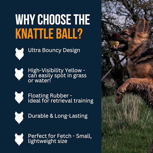 Fenrir - Dog Ball - High Bouncing Yellow Rubber for Fetch & Recall - 2.5 Inch Durable Floating Dog Toy - Water Retrievable Interactive Ball for All Breeds (Medium)
