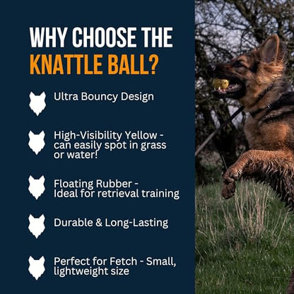 Fenrir - Dog Ball - High Bouncing Yellow Rubber for Fetch & Recall - 2.5 Inch Durable Floating Dog Toy - Water Retrievable Interactive Ball for All Breeds (Medium)