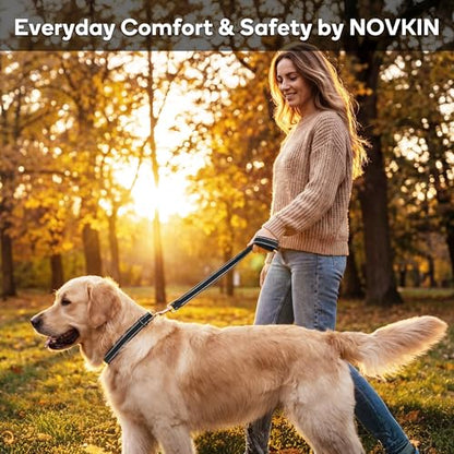 NOVKIN 2-Pack Reflective Dog Collar, Heavy Duty Nylon Pet Collars,Rust-Proof 304 Stainless Steel D-Ring, Break-Proof Buckle, High Visibility Adjustable Collar for M/L Dogs (Blue&Green, L) - color: Blue&Green, size: L