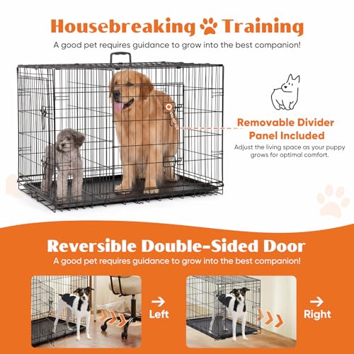 Sweetcrispy Large Dog Crate, 37 Inch Double Door Folding Metal Wire Dog Cage with Plastic Leak-Proof Pan Tray, Pet Kennel for Indoor, Outdoor, Travel