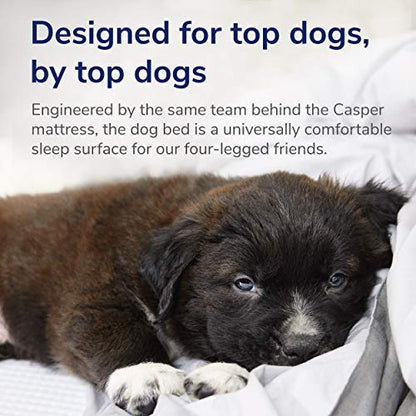 Casper Dog Bed, Plush Memory Foam, Large, Eucalyptus - color: Eucalyptus, size: Large