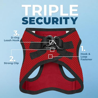 Voyager Step-in Air All Weather Mesh Harness and Reflective Dog 5 ft Leash Combo with Neoprene Handle, for Small, Medium and Large Breed Puppies by Best Pet Supplies - Red, X-Small - color: Leash Harness Set (Red Base), size: XS (Chest: 13 - 14.5")