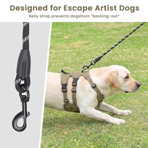 Escape Proof Dog Harness and Leash Set,Soft Padded Full Body Pet Harness, No Pull Reflective Adjustable Dog Vest with Handle, Easy Control Dog Harness for Medium Large Dogs Training Walking Running - color: Khaki, size: L