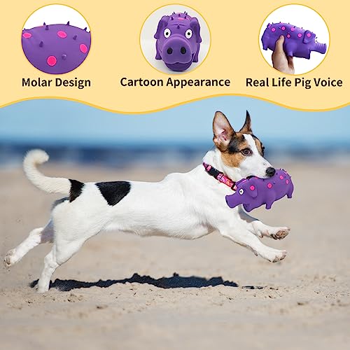 Andiker Dog Squeaky Toy, Dots Latex Dog Chew Toys with a Oinks Sound Squeaker Grunting Pig Dog Toy Durable Self Play 8" Dogs Squeeze Toy for Dental Biting Chasing to Kill Boring Time (Purple) - color: Purple