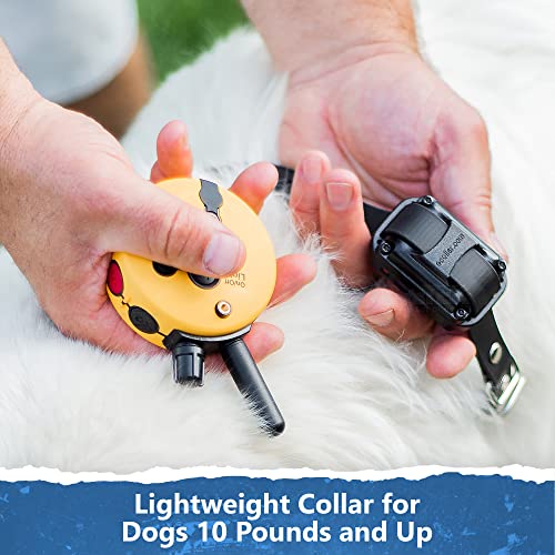 Educator ET-302 Mini E Collar for Dog Training with Remote - 1/2 Mile Range, Waterproof, 100 Blunt Stimulation Levels, Tone or Vibration Mode, Night Light for Small, Medium & Large Dogs (2 Dogs) - size: 2-Dog (ET-302)