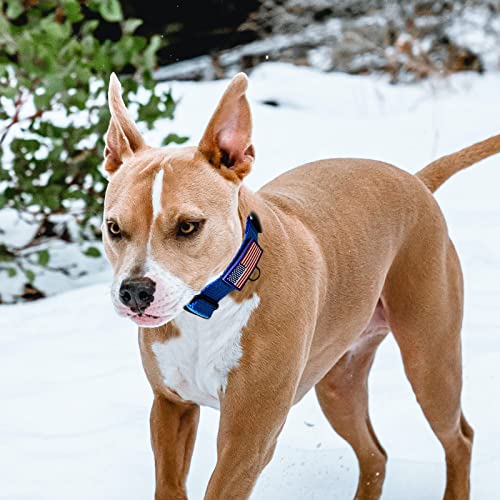Martingale Dog Collar, Reflective No Pull Training Collar with Quick Release Buckle & USA Flag, Heavy-Duty Nylon, Adjustable for Small Medium Large Dogs (L,Blue with Flag - color: Blue with Flag, size: L (1" x 19"-26")