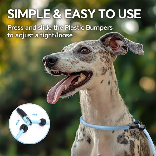 QQPETS Adjustable Slip Lead Dog Leash, Hands Free Waist Leash for Dog Walking, Reflective Training Lead with 360° Swivel Anti-Tangle, 4-7 ft Length for All Breeds - color: Blue Gradient