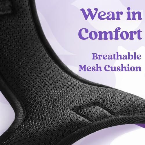 rabbitgoo Dog Harness Small Sized, No Pull Pet Harness with 3 Buckles, Adjustable Soft Padded Vest with Control Handle, Walking Reflective Pet Vest for Small Dogs, Purple, S - color: Purple, size: Small