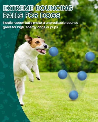 SCHITEC Dog Balls Indestructible, [2 Pack] Solid Rubber Bouncy Fetch Ball for Aggressive Chewers, Durable Chew Toy for Medium Large Dogs