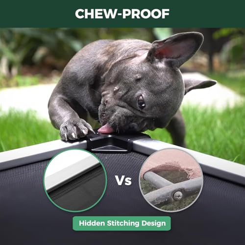 FXW TitanNest Chew-Proof Elevated Dog Bed, Raised Cot for Indoor/Outdoor/Camping Use, Durable & Waterproof Cooling Pet Bed for Medium Dogs, 41.0" L x 27.0" W x 5.0" H, Black - size: Medium Dog (41.0"L x 27.0"W x 5.0"H)