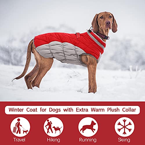 FUAMEY Dog Coat for Small Dogs,Waterproof Dog Winter Jacket with Harness Built in Puppy Cold Weather Coats Reflective Pet Vest with Zipper Warm Fleece Dogs Snowsuit Windproof Red S - color: Red, size: S(chest:17in)
