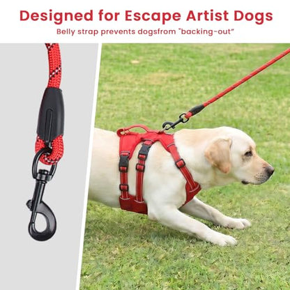 Escape Proof Dog Harness and Leash Set,Soft Padded Full Body Pet Harness, No Pull Reflective Adjustable Dog Vest with Handle, Easy Control Dog Harness for Medium Large Dogs Training Walking Running - color: Red, size: L