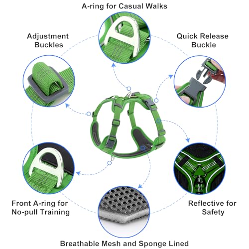 Plutus Pet No Pull Dog Harness, Release at Neck, Soft Padded, Reflective Adjustable Dog Vest Harness for Small, Medium, Large Dogs(Green, M) - color: Green, size: M
