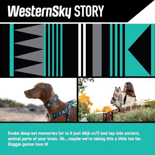 Wolfgang Heavy Duty, Adjustable Dog Collar with Quick Release Nylon Buckle for Walking & Training, WesternSky Print, Small - color: WesternSky Print, size: Small (5/8 Inch x 8-12 Inch)