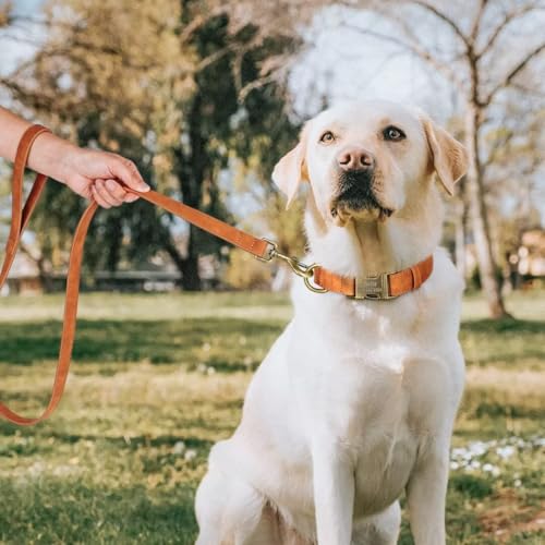 Personalized Dog Collars for Puppies, Custom Soft PU Leather Dog Collar with Engraved ID Name and Number, Adjustable & Durable Pet Collars with Quick Release Metal Buckle,XS(8-13") - color: Light Brown-Engraving, size: X-Small: Fit 8-13" Neck