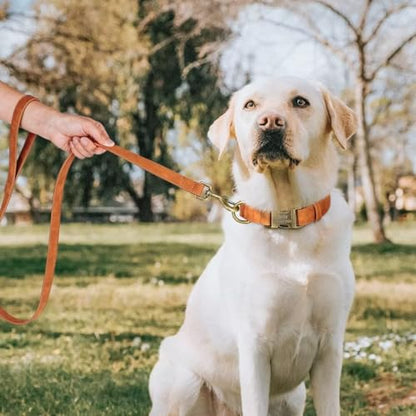 Personalized Dog Collars for Small Dogs, Custom Soft PU Leather Dog Collar with Engraved ID Name and Number, Adjustable & Durable Pet Collars with Quick Release Metal Buckle,S(10-16") - color: Light Brown-Engraving, size: Small: Fit 10-16" Neck